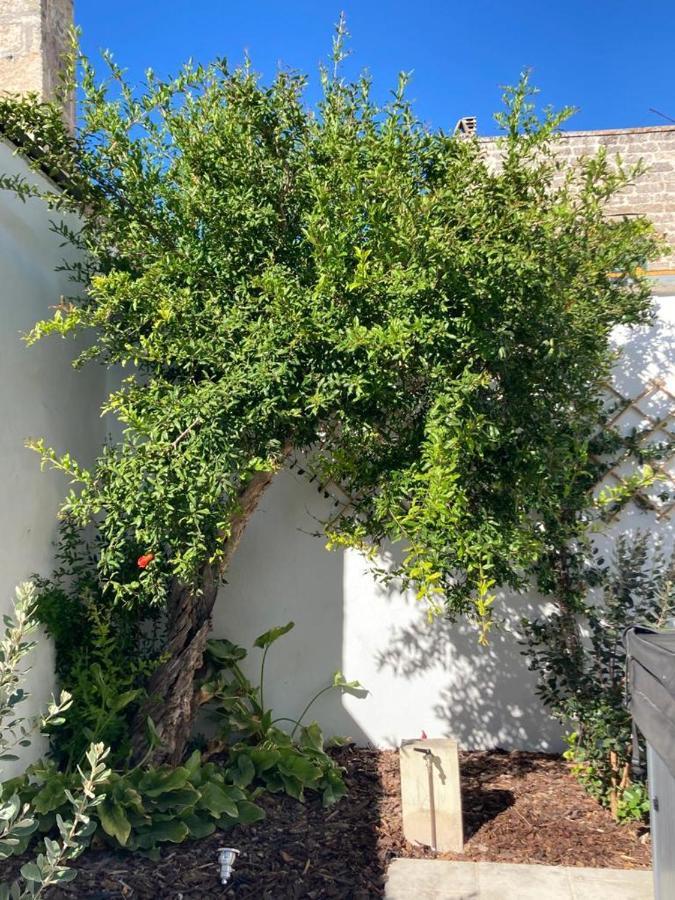 Il Palmento B&B Palmariggi Bagian luar foto